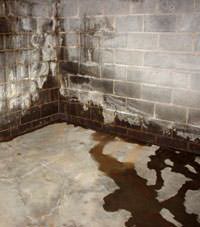 Water seeping through a concrete wall in a Highland Acres basement