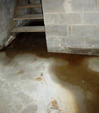 Flooding floor cracks by a hatchway door in Rehoboth Beach