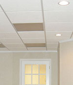 Basement ceiling tiles - Riverview and Ocean City