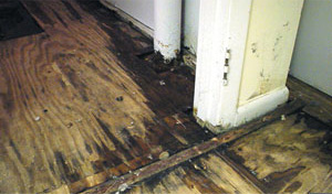 Rotting Wood Subfloor