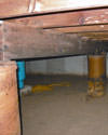 Mold and rot thriving in a dirt floor crawl space in Dover