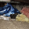 A crawl space filled with loose insulation, debris, and a large tarp in Millsboro.