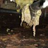 Fiberglass insulation dripping off a pipe in Long Neck.