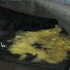 Disintegrated fiberglass insulation sitting in a pool of water in Felton.