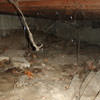 A crawl space with spiderwebs, mold, and uneven floors in Berlin.