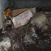 A rotting box sitting on a rock in a crawl space in Rising Sun.