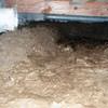 A muddy, disgusting crawl space with little or no head room in Selbyville.