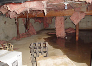 fiberglass insulation dripping off the ceiling of a crawl space in Easton.