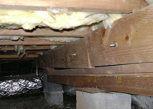 A sagging crawl space with concrete supports and wooden shimming a Fruitland crawl space