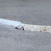 Slab floor cracks showing in a Chester home