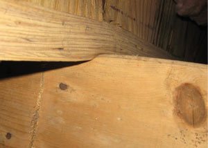 A failing girder showing signs of compression damage in a Delaware & Maryland home